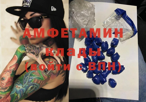 мет Алексин