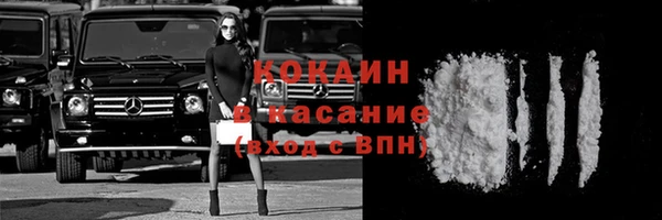 шишки Рославль