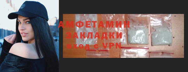 мет Алексин