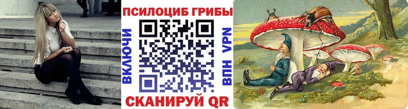 Псилоцибиновые грибы ЛСД Кириши