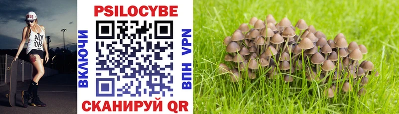 Псилоцибиновые грибы Psilocybine cubensis  Кириши 